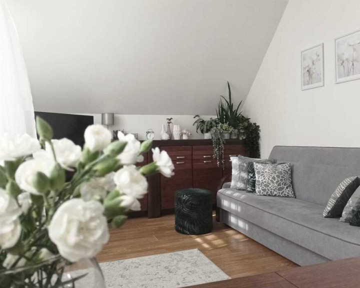 Mieszkanie Sprzedaż Mierzyn Topolowa